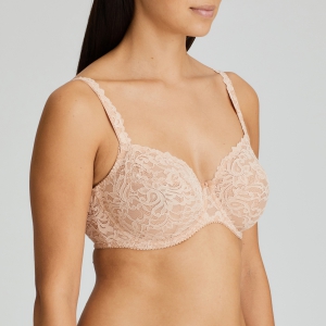 MAGNOLIA LTA