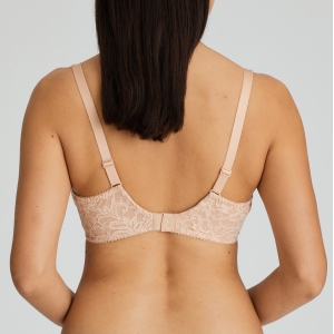 MAGNOLIA LTA