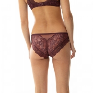 Stunning 871 indigo rose