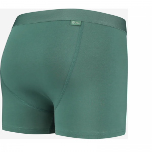 Bauke 3P groen