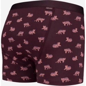 purple tiger paars