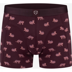 purple tiger paars