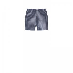varied stripe 1159 blue slate