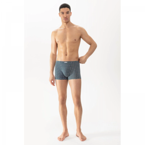 gentlemen geo 1254 palm hue