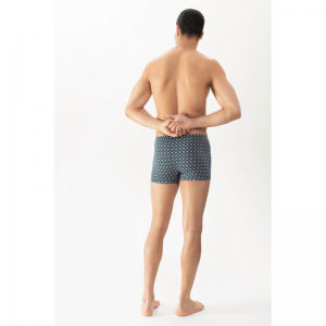 gentlemen geo 1254 palm hue