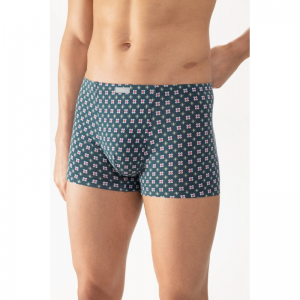 gentlemen geo 1254 palm hue