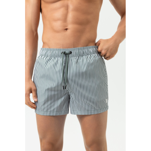 Seaside Stripe 1254 palm hue